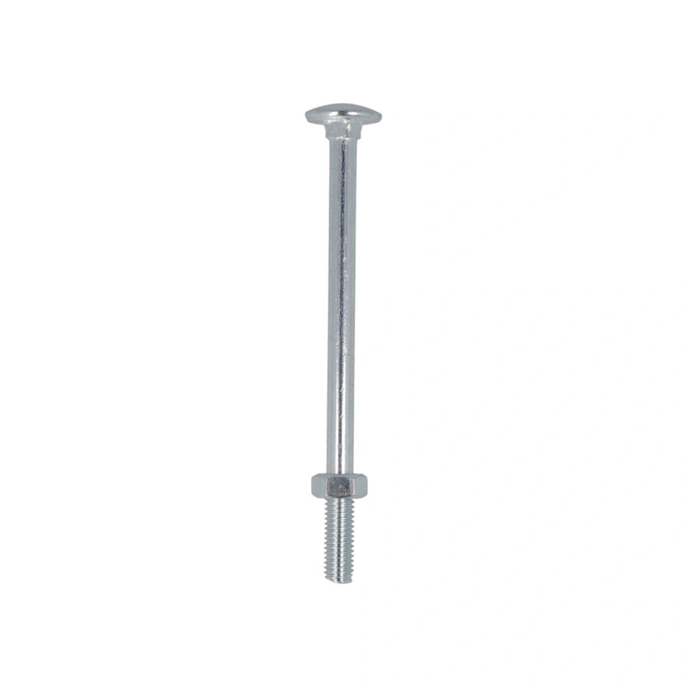 PROFTEC SLOTBOUT+MOER VZ 4.8 DIN603/555 M6X40 (50)
